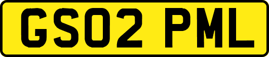GS02PML