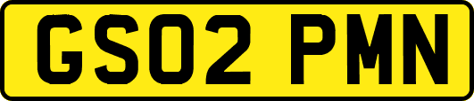 GS02PMN