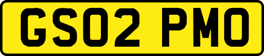 GS02PMO