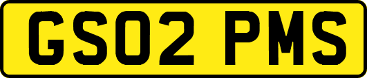 GS02PMS