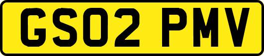 GS02PMV
