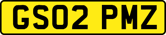 GS02PMZ