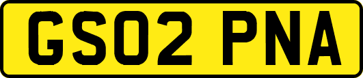 GS02PNA