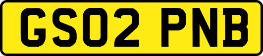 GS02PNB