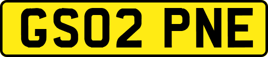GS02PNE