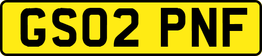 GS02PNF
