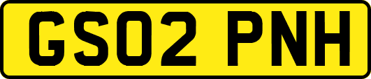 GS02PNH