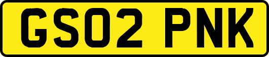 GS02PNK