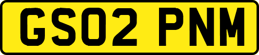GS02PNM