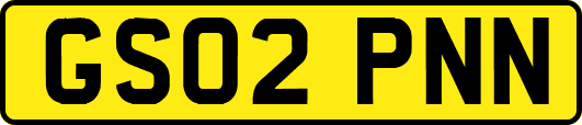 GS02PNN