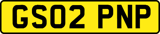 GS02PNP