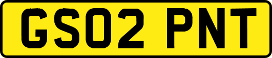 GS02PNT