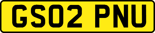 GS02PNU