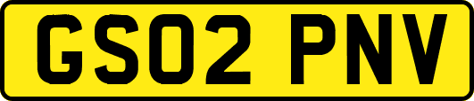 GS02PNV