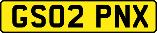 GS02PNX