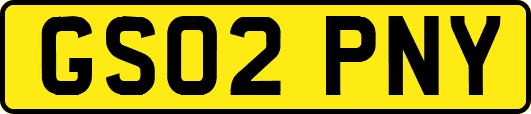 GS02PNY
