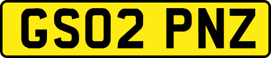 GS02PNZ