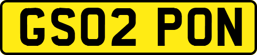 GS02PON