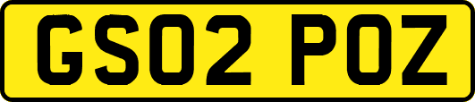 GS02POZ