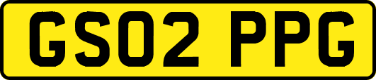 GS02PPG