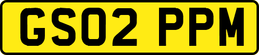 GS02PPM