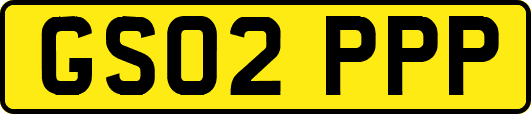 GS02PPP