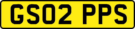 GS02PPS