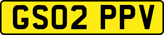 GS02PPV