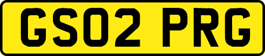 GS02PRG