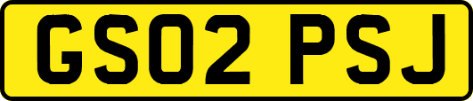 GS02PSJ