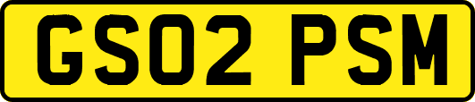 GS02PSM