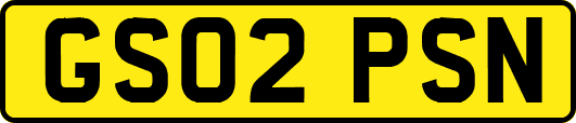 GS02PSN