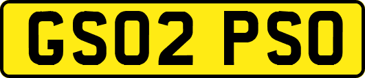 GS02PSO