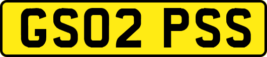 GS02PSS