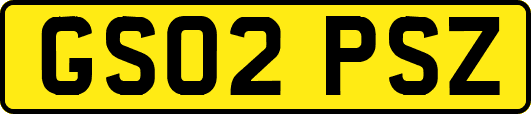 GS02PSZ