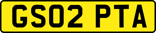 GS02PTA