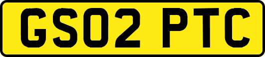GS02PTC