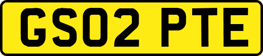 GS02PTE