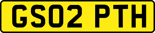 GS02PTH