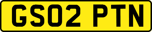 GS02PTN