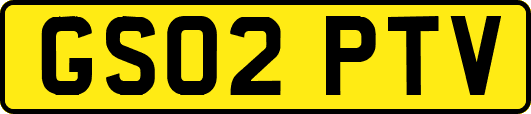 GS02PTV