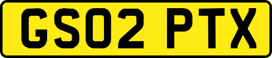 GS02PTX
