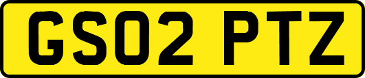 GS02PTZ