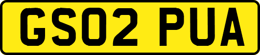 GS02PUA