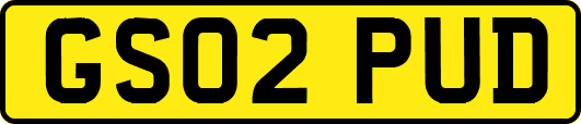GS02PUD