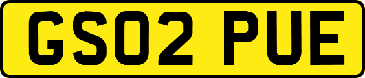 GS02PUE