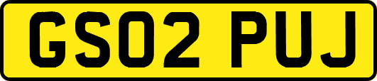 GS02PUJ