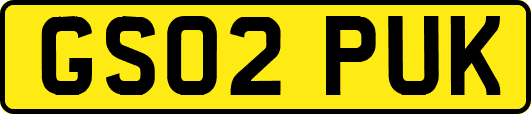 GS02PUK