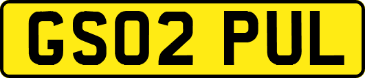 GS02PUL