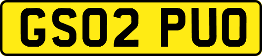 GS02PUO